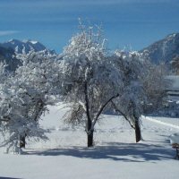 Wintersfeer